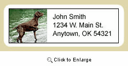 Pointer Address Labels