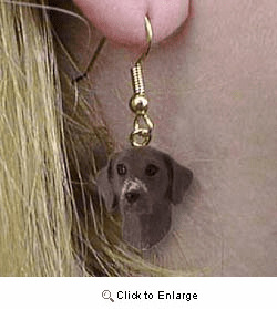 Pointer Authentic Earrings