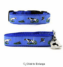 Pointer Collar & Leash