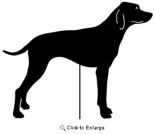 Pointer Garden Stake