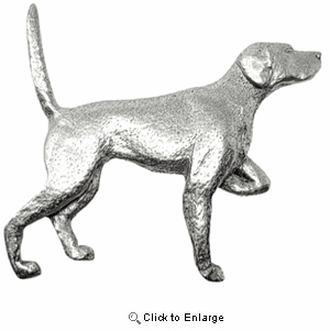 Pointer Pin