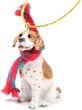 Pointer Tiny One Christmas Ornament Brown-White