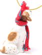 Pointer Tiny One Christmas Ornament Brown-White