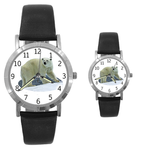 Polar Bear Watch