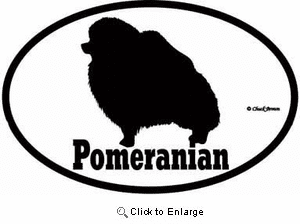 Pomeranian Bumper Sticker Euro