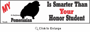 Pomeranian Bumper Sticker Honor Student