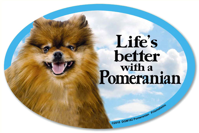 Pomeranian Car Magnet - Life's Better
