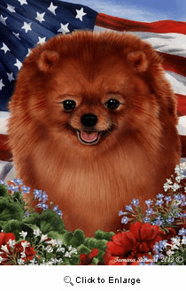 Pomeranian House Flag