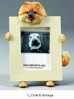 Pomeranian Picture Frame