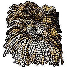 Pomeranian T-Shirt Rhinestone-Rhinestud