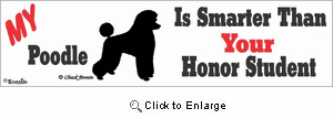 Poodle Bumper Sticker Honor Student