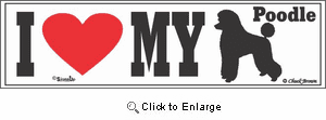 Poodle Bumper Sticker I Love My
