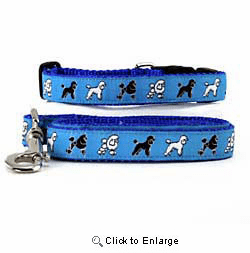 Poodle Collar & Leash