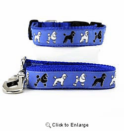 Poodle Collar & Leash - Large