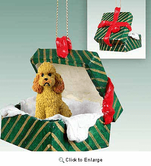 Poodle Gift Box Christmas Ornament Apricot Sport Cut