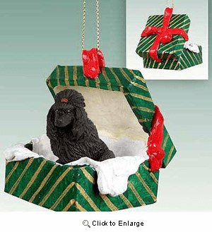 Poodle Gift Box Christmas Ornament Black