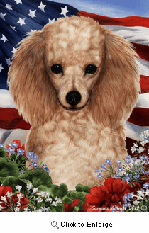 Poodle House Flag Apricot