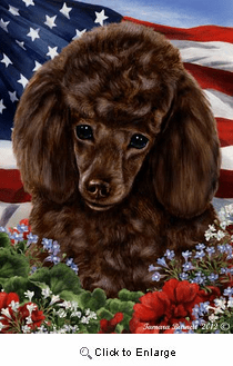 Poodle House Flag Chocolate