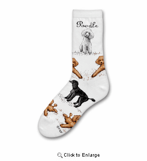 Poodle Poses Socks