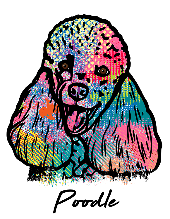 Poodle T Shirt Colorful Abstract