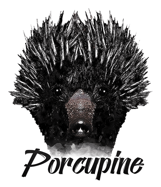 Porcupine T-Shirt - Vivid Colors