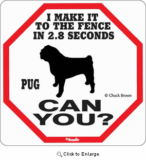 Pug 2.8 Seconds Sign