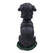 Pug Bobblehead Black