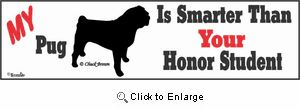 Pug Bumper Sticker Honor Student