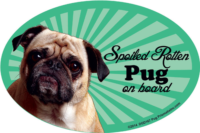 Pug Car Magnet - Spoiled Rotten