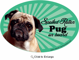 Pug Car Magnet - Spoiled Rotten