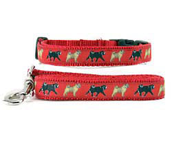 Pug Collar & Leash