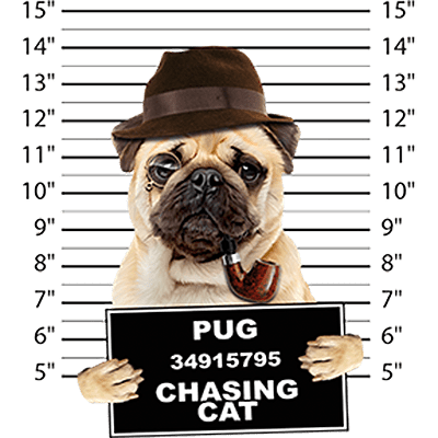 Pug T-Shirt - Mug Shot