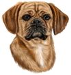 Puggle Decal Window Sticker