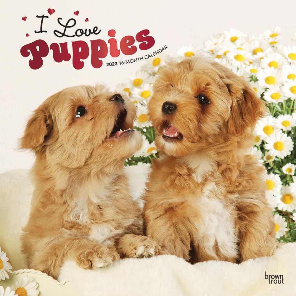 2023 Puppies Calendar
