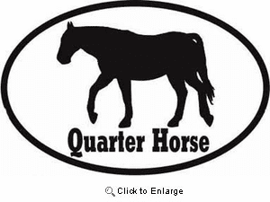 Quarter Horse Bumper Sticker Euro