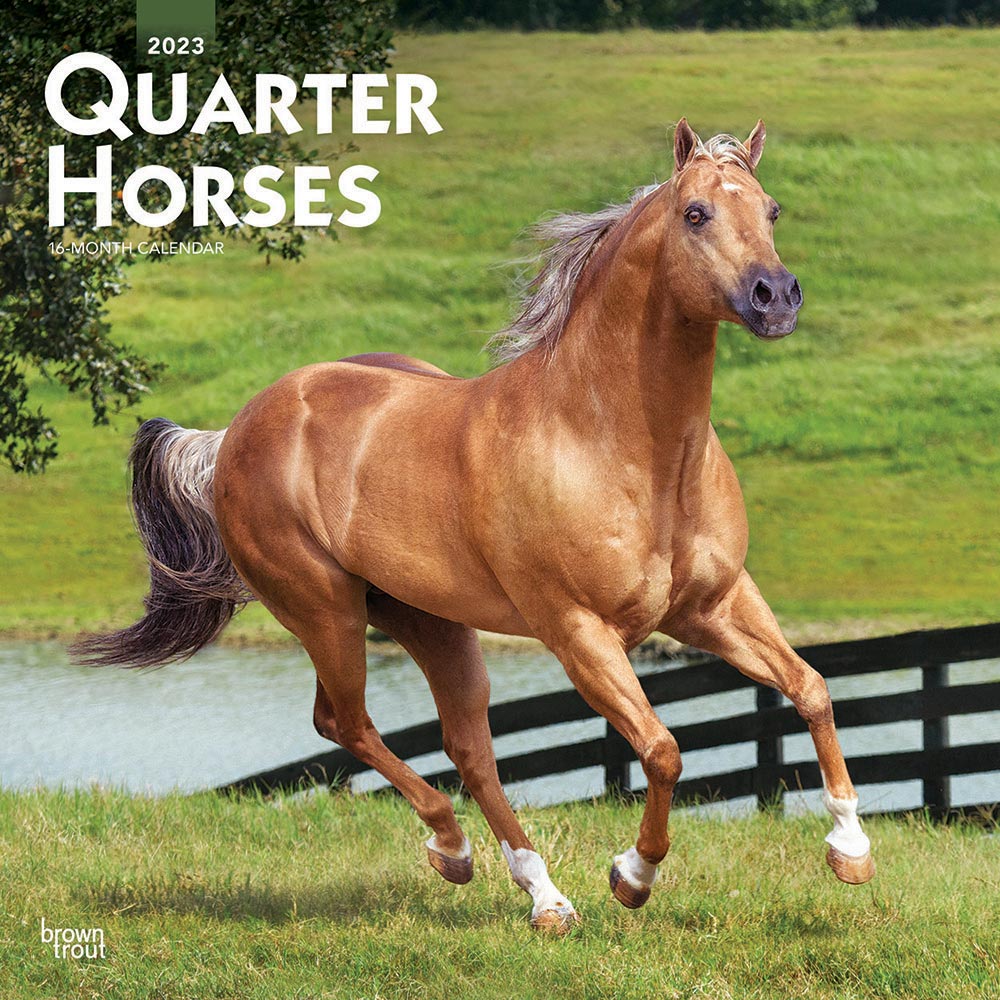 Quarter Horses Calendar 2023 Animal Den