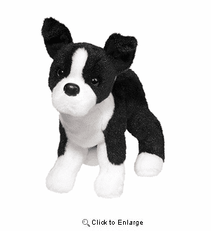 "Quincy" Boston Terrier 8" Plush by Douglas Toy