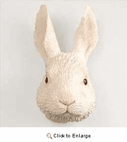 Rabbit Magnet