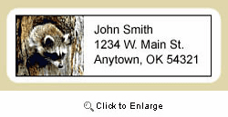 Raccoon Address Labels
