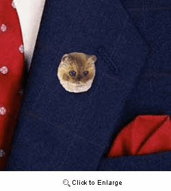 Ragdoll Cat Pin Hand Painted Resin