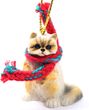 Ragdoll Cat Tiny One Christmas Ornament