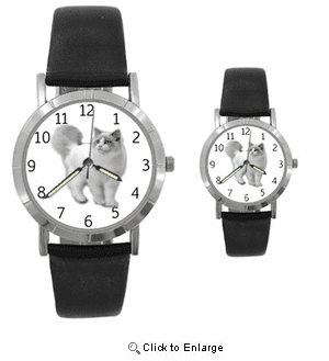 Ragdoll Cat Watch