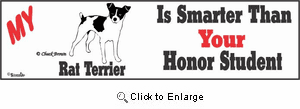 Rat Terrier Bumper Sticker Honor Student