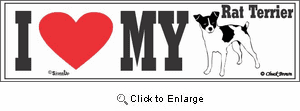 Rat Terrier Bumper Sticker I Love My