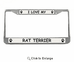 Rat Terrier License Plate Frame