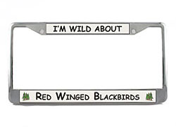 Red Winged Blackbird License Plate Frame