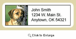 Rhodesian Ridgeback Address Labels