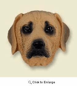 Rhodesian Ridgeback Magnet