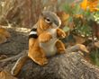 Folkmanis  Chipmunk Hand Puppet Plush 8"