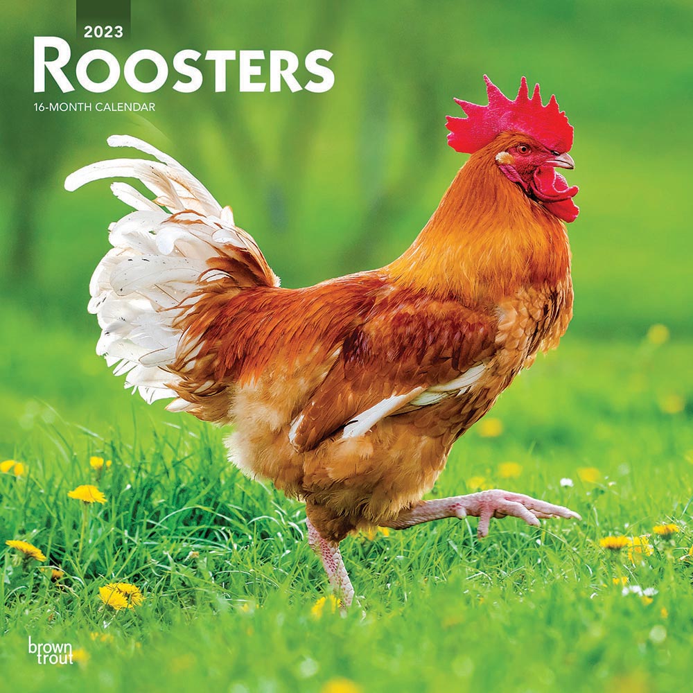 Chickens Calendar 2023 | Animal Den